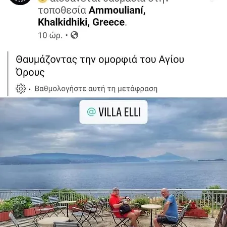 Elli Ammoulianí